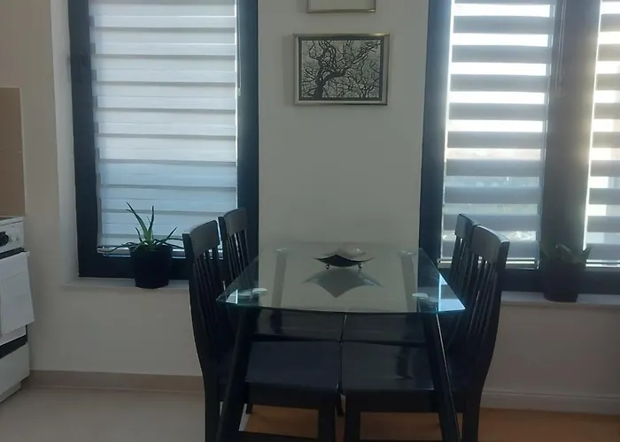 Danube View 11 Zimony